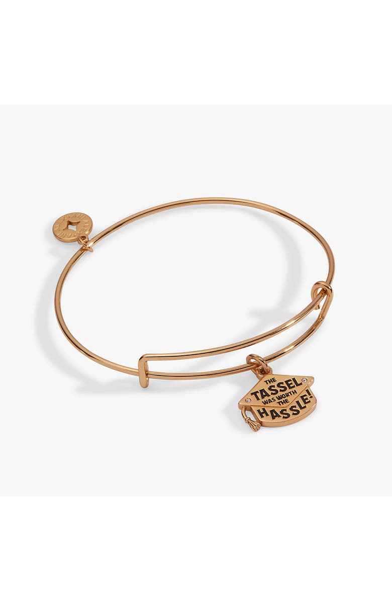 Alex and Ani "The Tassel Was Worth The Hassle" Charm Bangle, Main, color, 