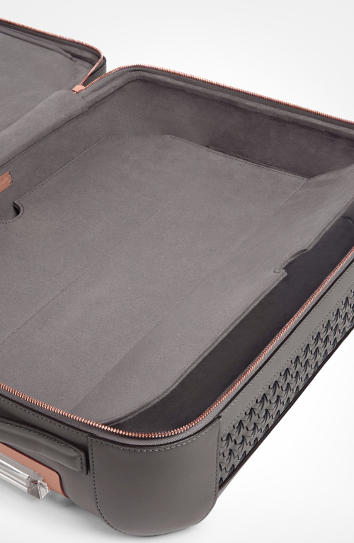Aviteur Calfskin Lucite Handle Carry-on 19 Luggage In Gray
