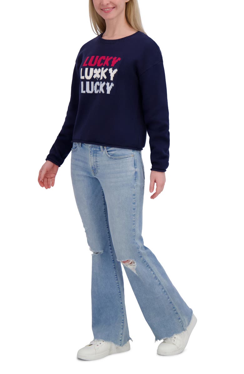 Lucky Brand Americana Crewneck Sweater, Alternate, color, Black Iris