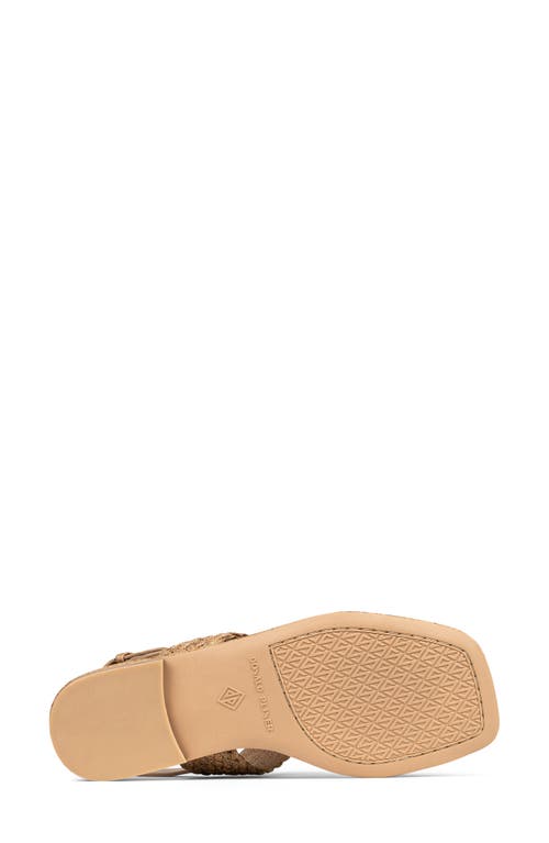 Shop Donald Pliner Hector Slingback Sandal