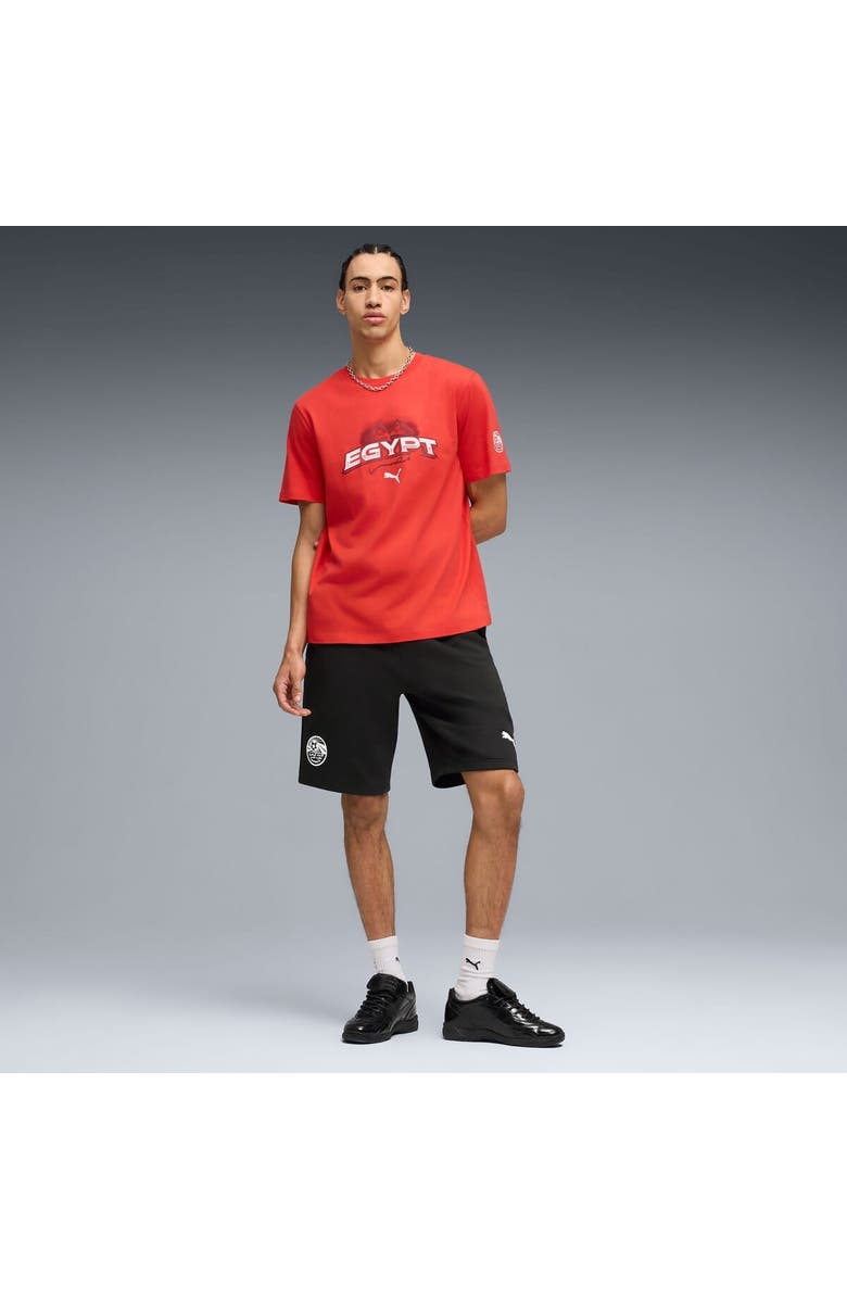 PUMA Men's Puma Red Egypt National Team ftblCulture T-Shirt, Alternate, color, Red