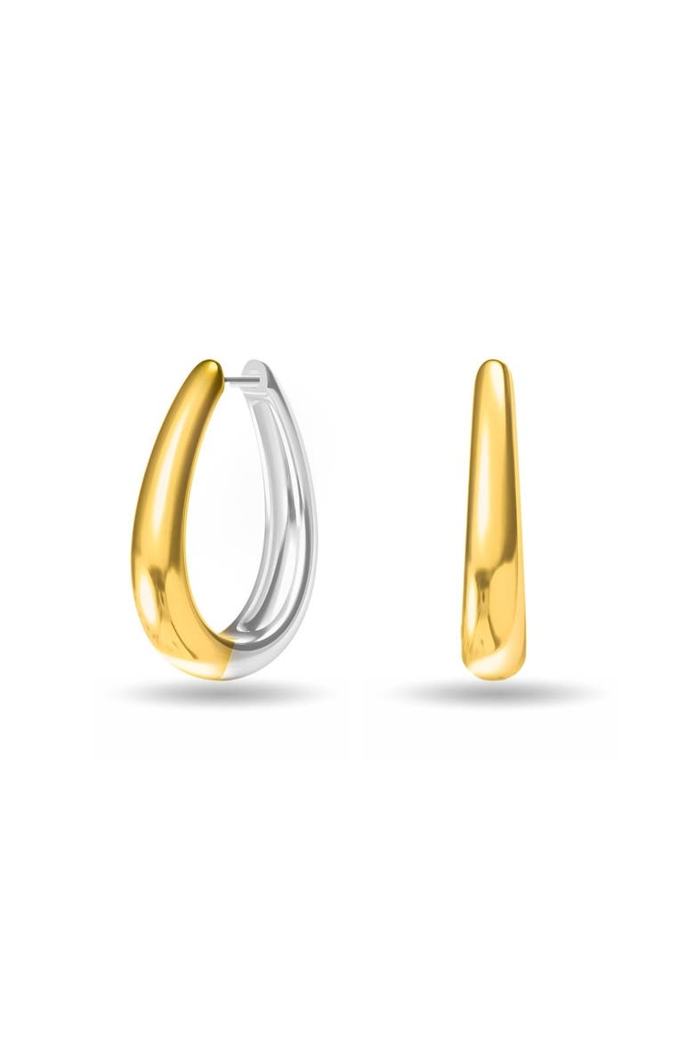 Two Tone Hoop Earrings, Main, color, Gold