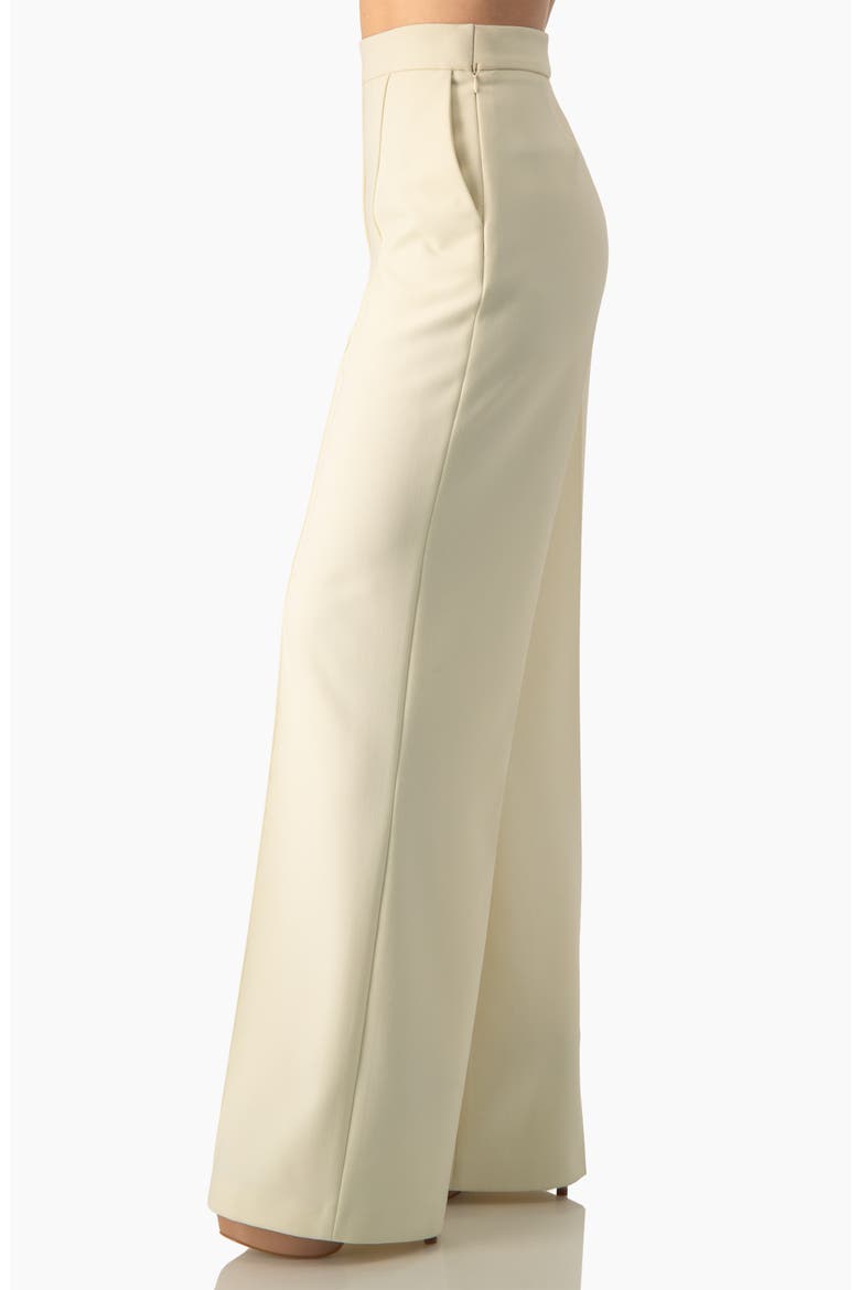 High-Waist Pleated Wide-Leg Tailored Trousers, Alternate, color, Ivory