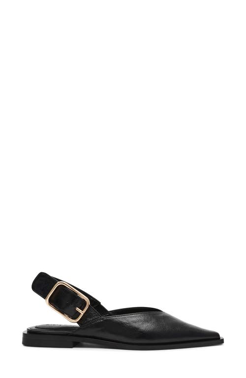 Steve Madden Shay Pointed Toe Slingback Flat In Black
