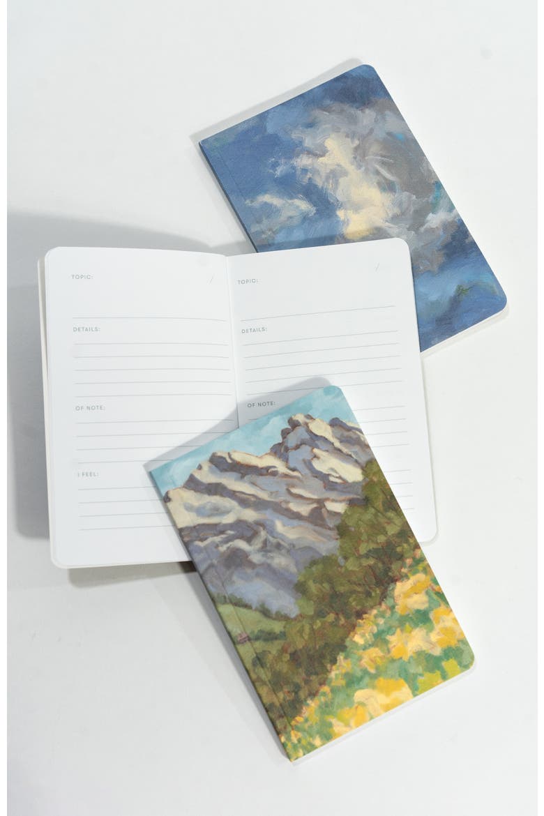Set of Three Pocket Journals - Landscapes of Frankenstein En Plein Air, Alternate, color, Blue