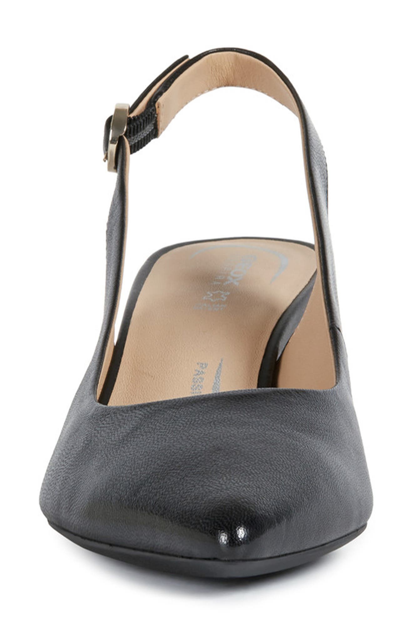 Geox Bigliana Pointed Toe Slingback Pump, Alternate, color, 