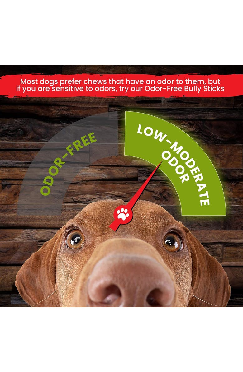 Sancho & Lola's Closet 6 Inch Thin Bully Sticks 10 Count Dog Treat, Alternate, color, Multicolored