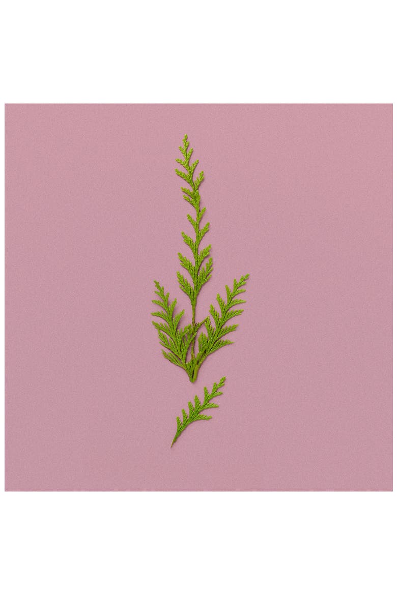 The Alchemist's Garden A Winter Melody Acqua Profumata, Alternate, color, NO COLOR
