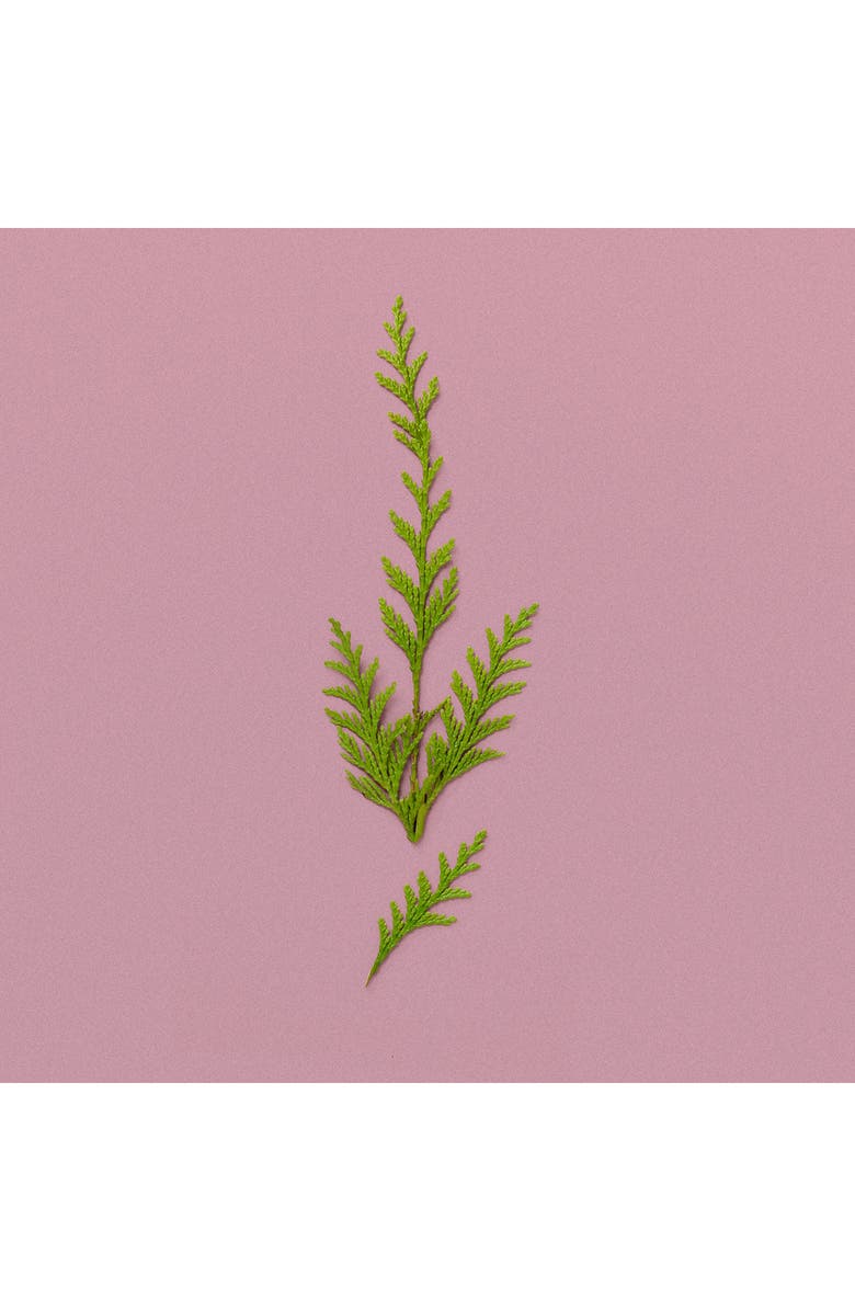 Gucci The Alchemist's Garden A Winter Melody Acqua Profumata, Alternate, color,