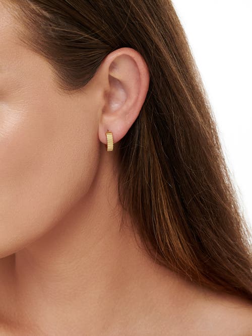 Devata Ribbed Hoop Earrings In Gold
