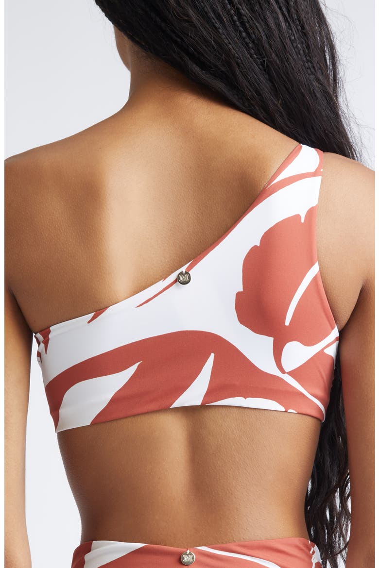 Argenta Beachwear One-Shoulder Bikini Top, Alternate, color, RUST