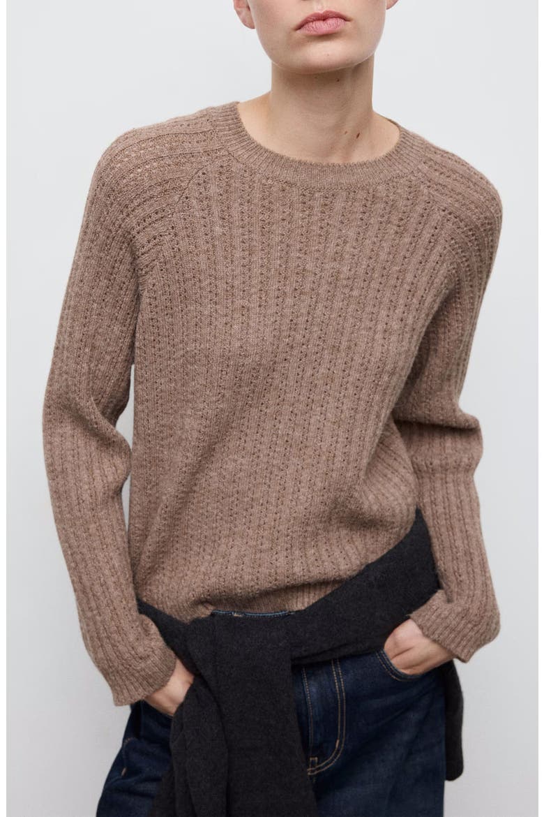 Pointelle Crewneck Sweater, Main, color, BROWN