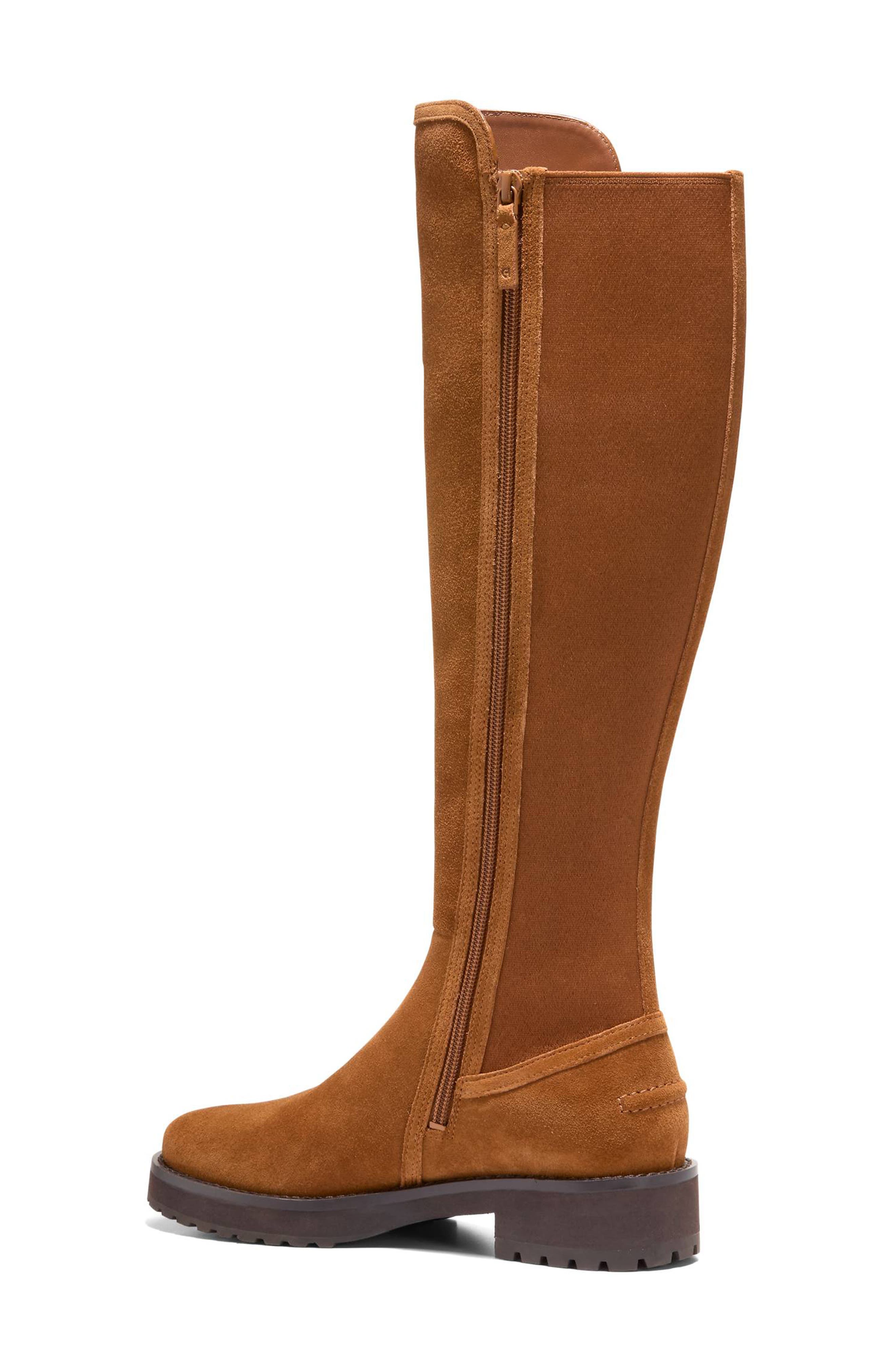 Cole Haan Lyndon Waterproof Tall Boot, Alternate, color, Tobacco Suede