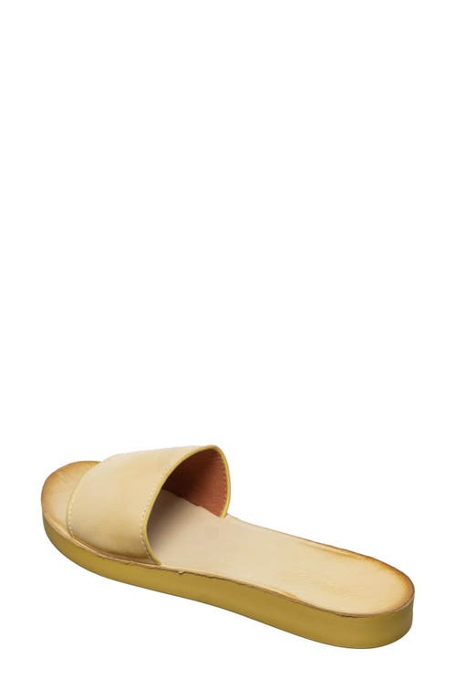 Antelope Adica Slide Sandal In Yellow