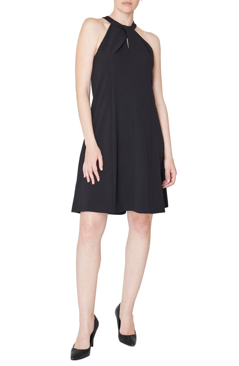 Julia Jordan Sleeveless Fit & Flare Dress, Main, color, 