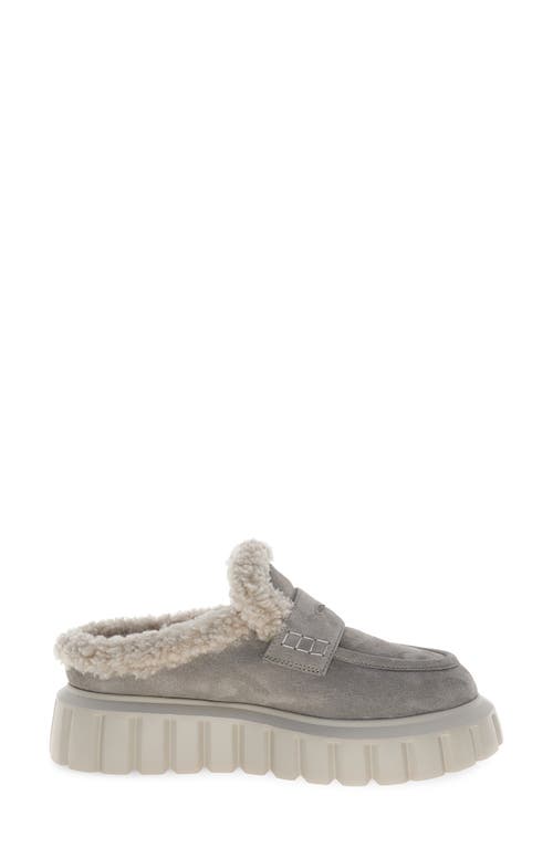 Voile Blanche Grenelle Genuine Shearling Platform Mule In Gray