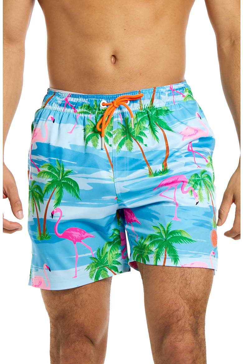 Flaminguy Stretch Swim Trunks, Alternate, color, MISCELLANEOUS