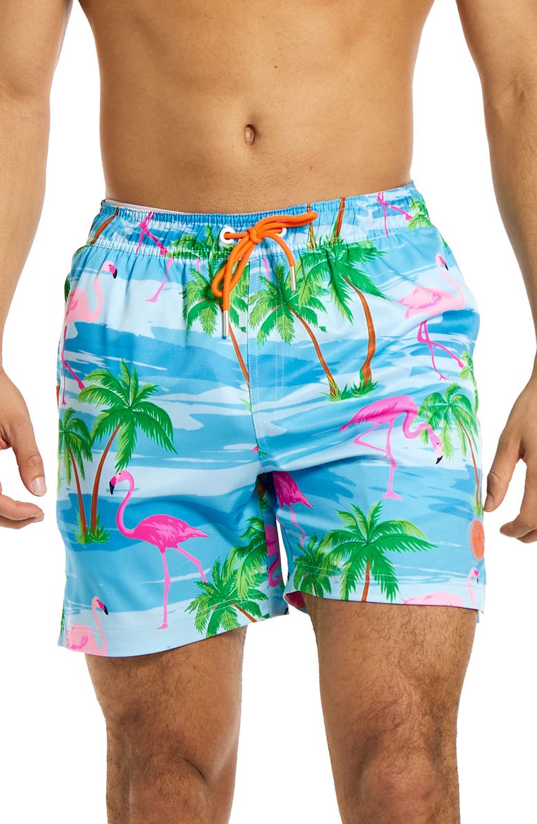 OppoSuits Flaminguy Stretch Swim Trunks, Alternate, color, Miscellaneous