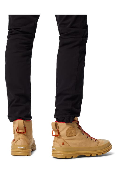 Sorel Scout N About Sneakers In Brown