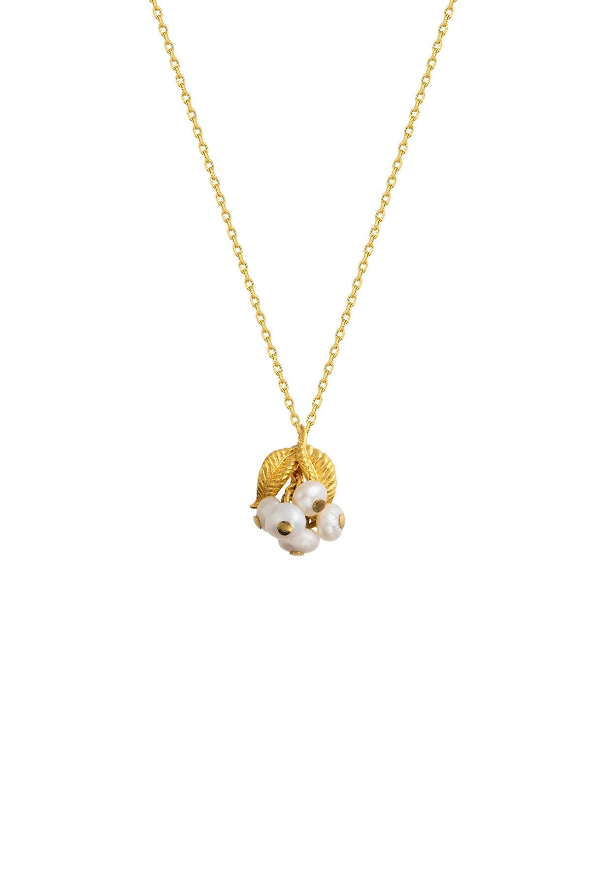 selected Ivory