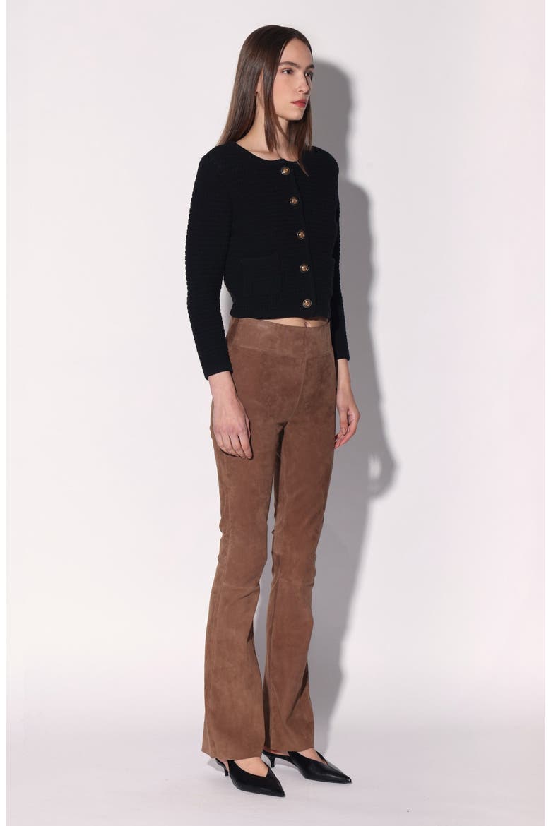 Lexie Suede Leather Pant, Alternate, color, Brown