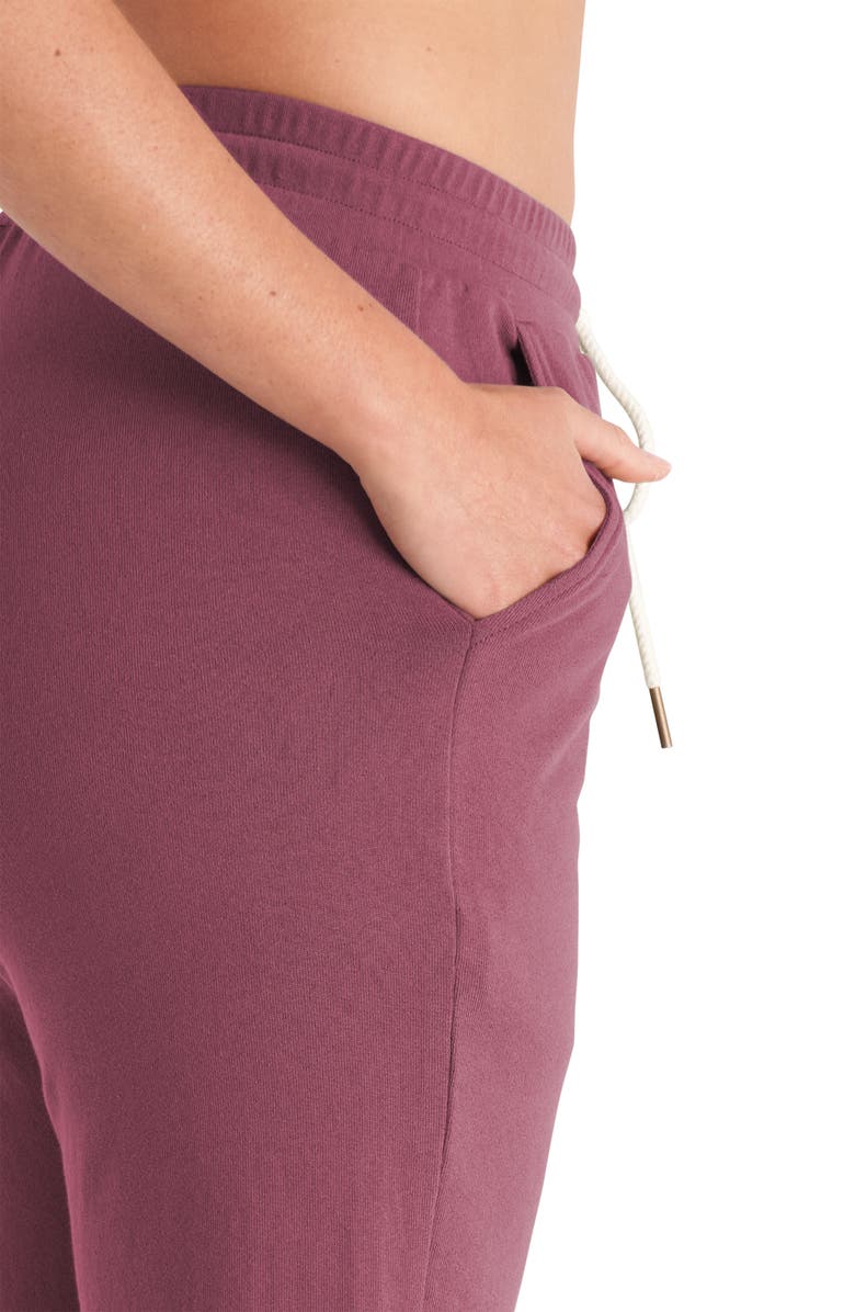 The Standard Stitch The Everyday Jogger, Alternate, color, Plum