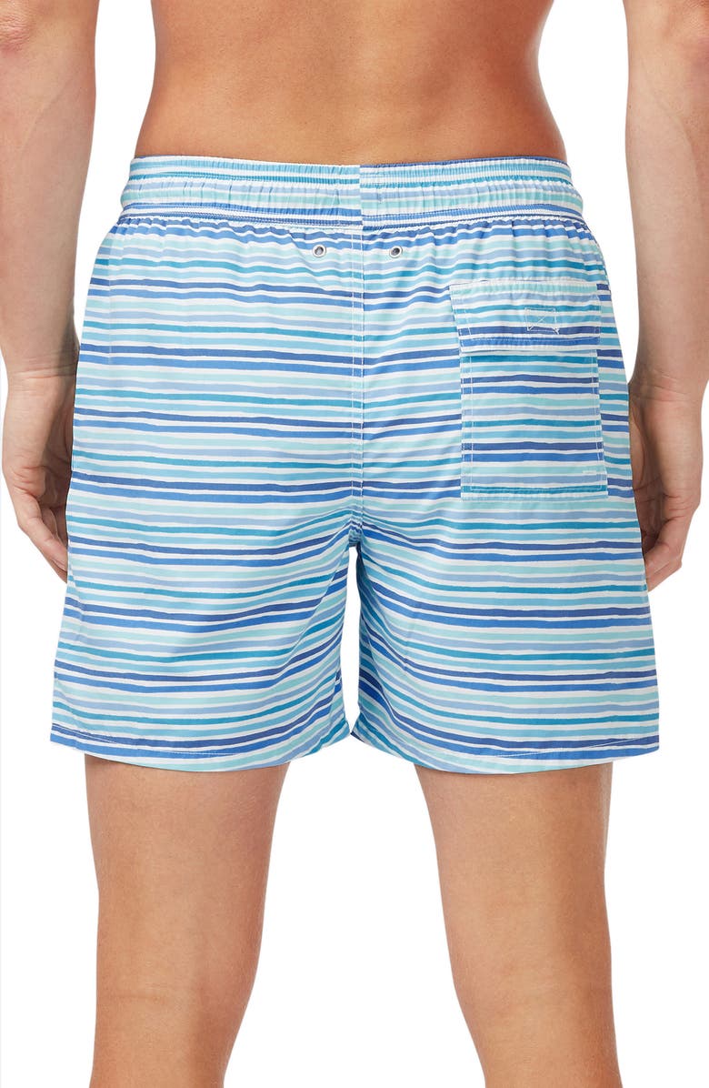 Tom & Teddy Stripe Swim Trunks, Alternate, color,