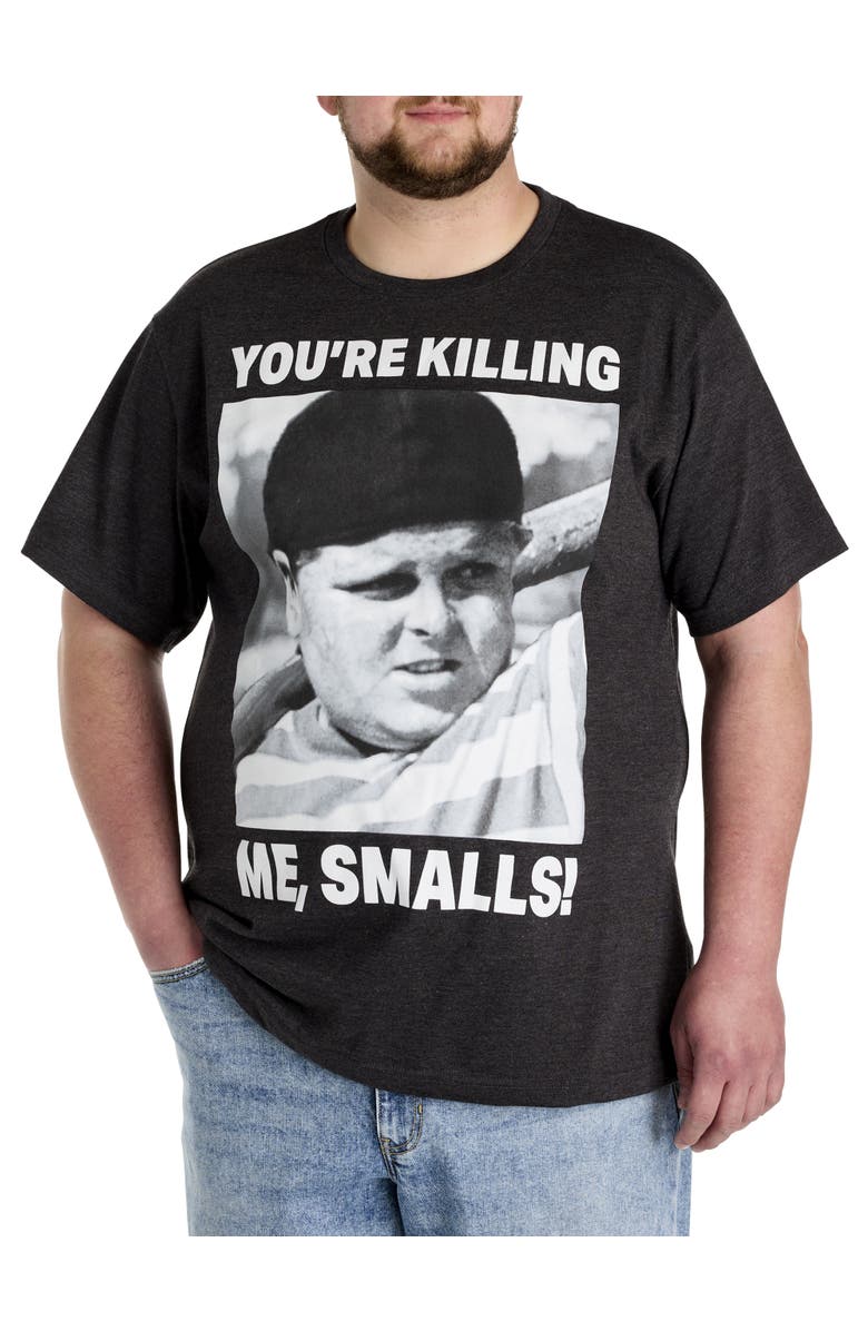 True Nation by DXL Big & Tall Sandlot Graphic Tee, Main, color, Charcoal Heather