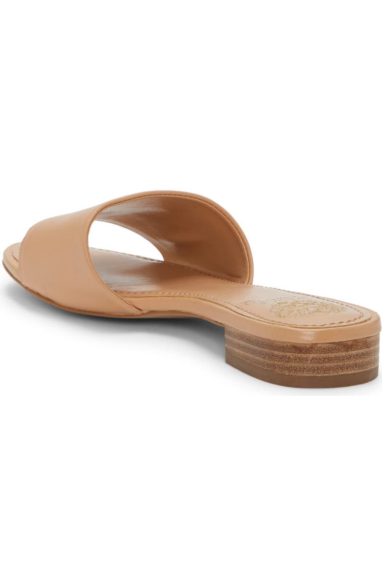 Vince Camuto Meren Slide Sandal, Alternate, color, Sandstone