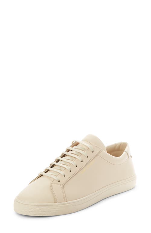 Saint Laurent Andy Low Top Sneaker In Neutral