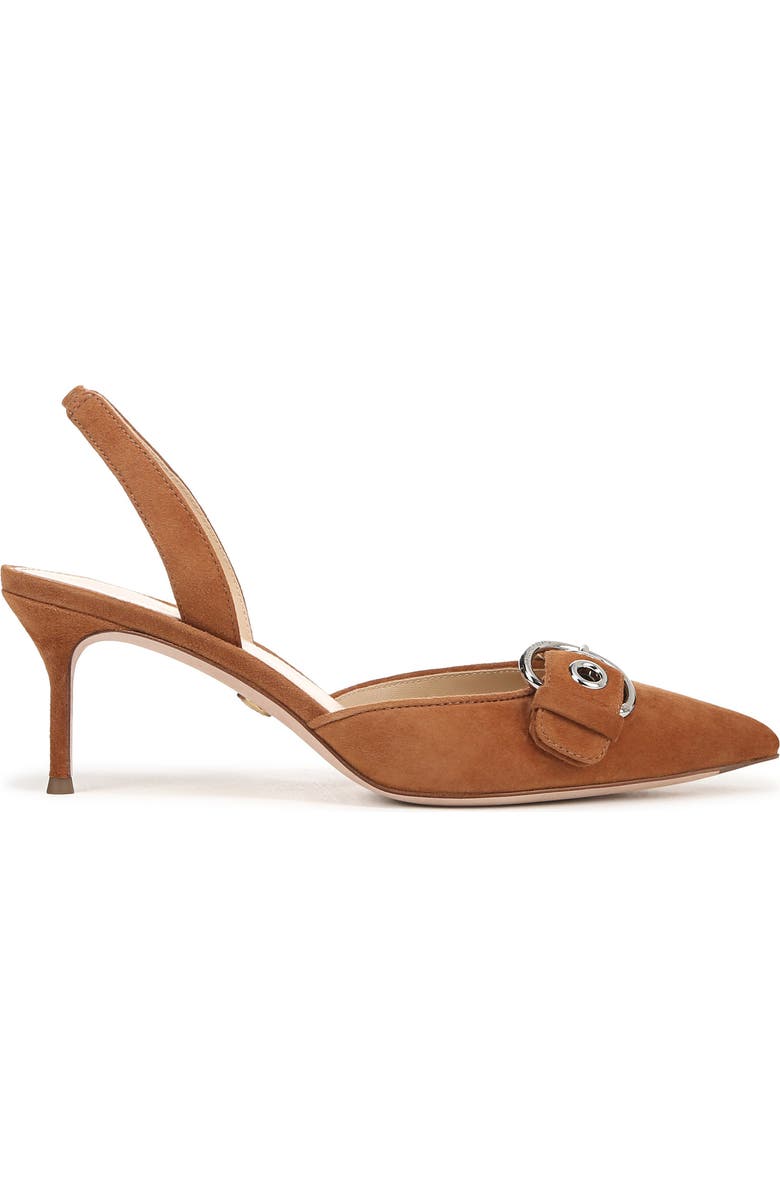 Veronica Beard Roxy Slingback Pointed Toe Pump, Alternate, color, Hazelwood