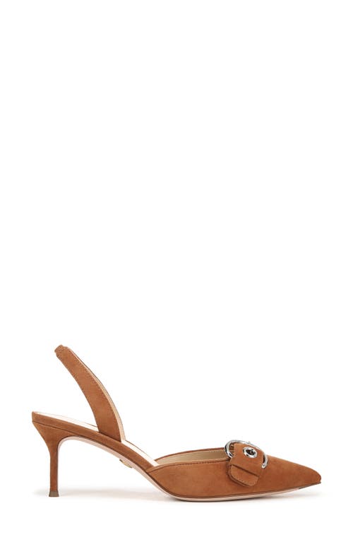 Veronica Beard Roxy Slingback Pointed Toe Pump In Hazelwood