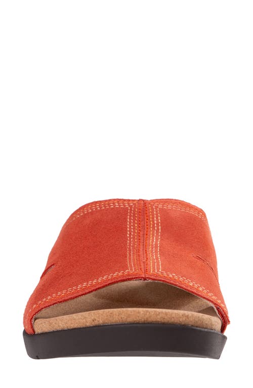 Revitalign Palmetto Slide Sandal In Rooibos Tea