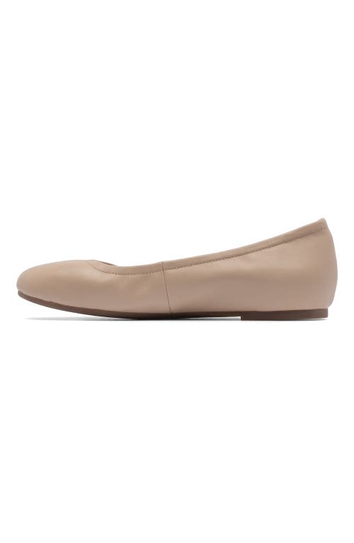 Abeo Promenade Ballet Flat In Cuban Sand - Regular