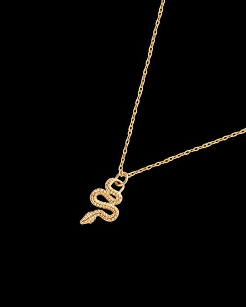 Fable England Celestial Snake Necklace In Brown