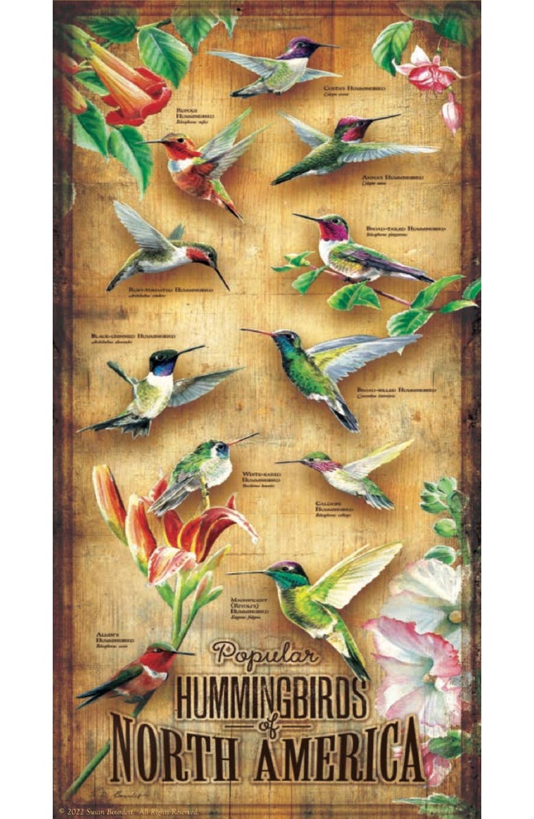 Sunsout Hummingbirds of North America 500 piece Jigsaw Puzzle for Adults, Alternate, color, Multicolor