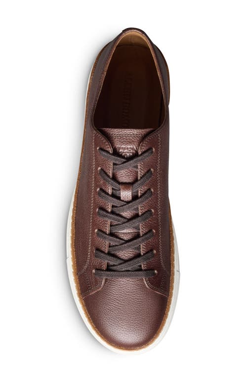 Allen Edmonds Percy Low Top Sneaker In Brown