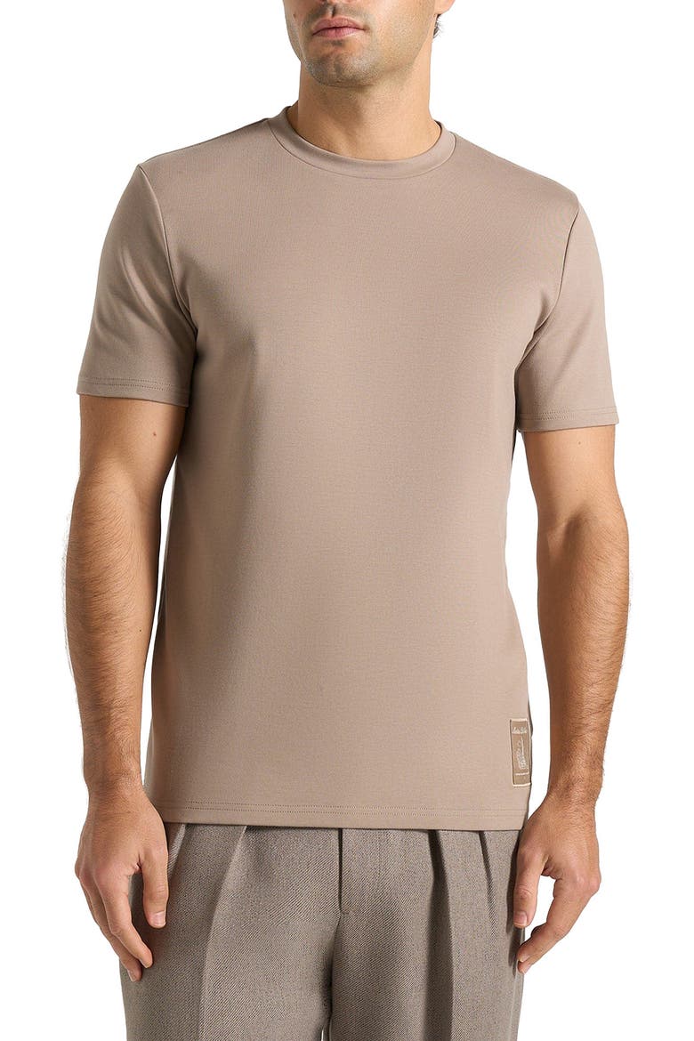 Regular Fit Cotton T-Shirt, Alternate, color, Taupe