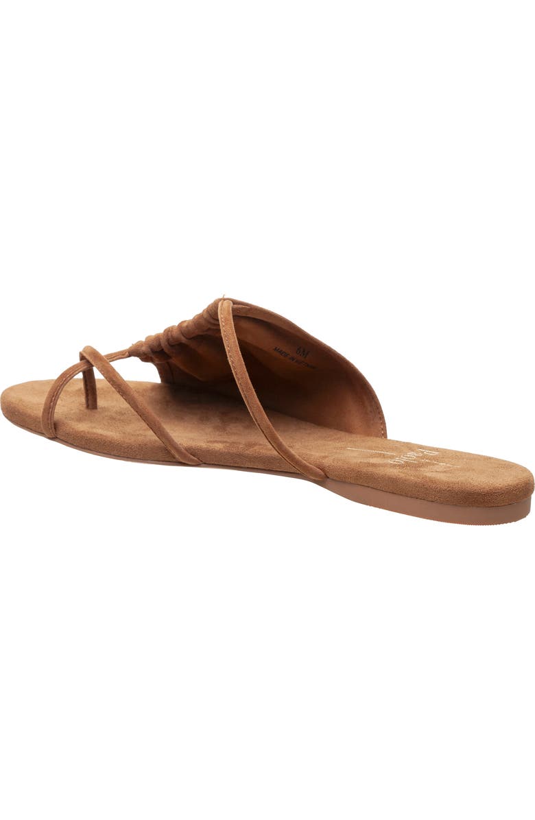 Linea Paolo Lane Toe Loop Sandal, Alternate, color, Nutmeg