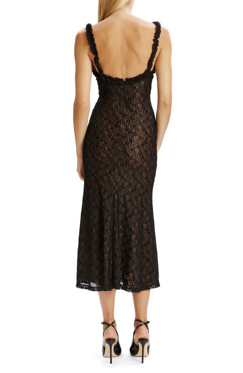 Bardot Alegra Stretch Lace Dress In Brown