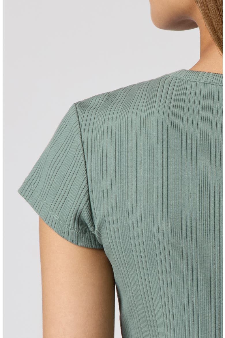 Ribbed Henley Short Sleeve T-Shirt, Alternate, color, LAUREL WREATH