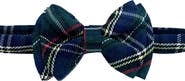 Bits & Bows Plaid Bow Tie