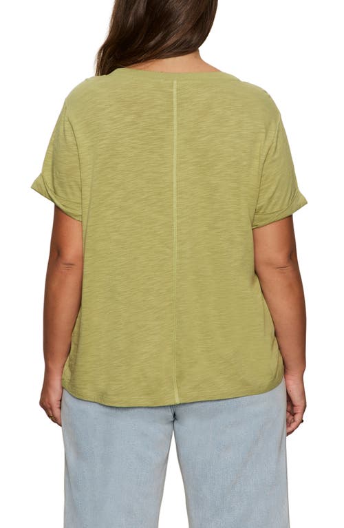 Sanctuary Perfect Roll Sleeve Cotton T-shirt