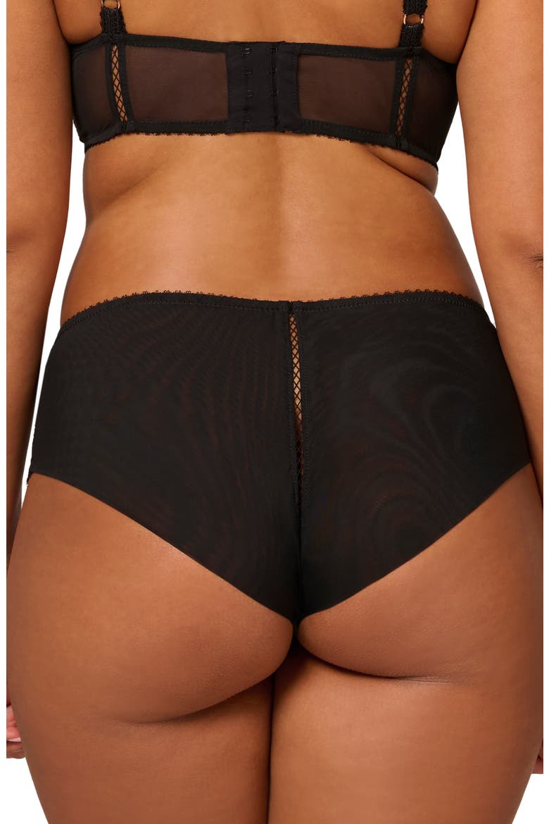 Lace Trim Tulle Briefs, Alternate, color, BLACK