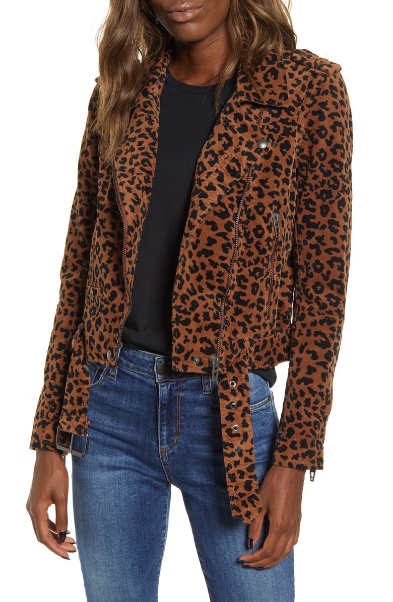 BLANKNYC Jungle Cat Corduroy Moto Jacket, Main, color, 