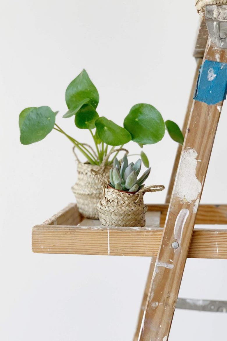 Tabletop Belly Basket, Alternate, color, Natural