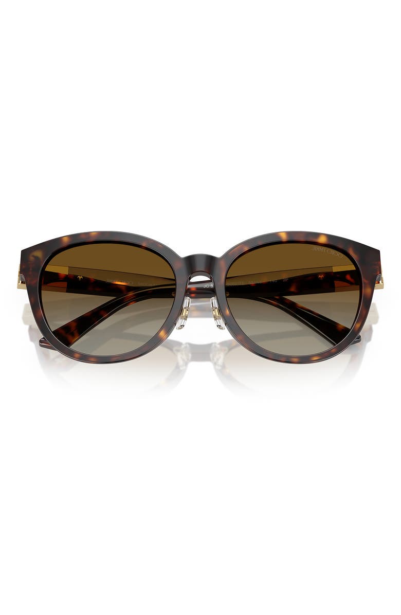 Jimmy Choo 55mm Phantos Sunglasses, Alternate, color, Havana 1
