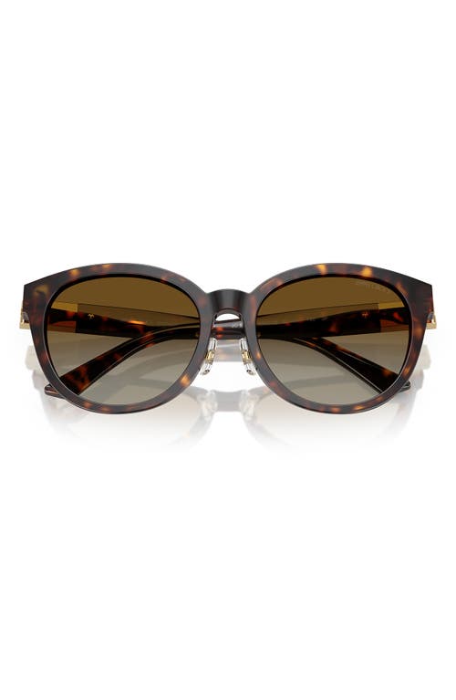 Jimmy Choo 55mm Phantos Sunglasses In Havana/brown Gradient