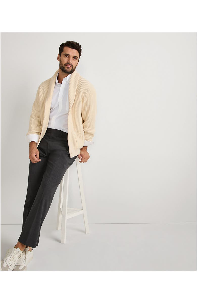 Lands' End Tailored Fit No Iron Solid Supima Cotton Oxford Dress Shirt, Alternate, color, 