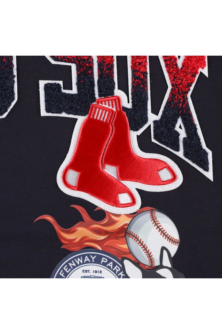 Men's Pro Standard Navy Boston Red Sox Hometown T-Shirt, Alternate, color, Navy
